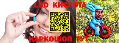 стафф Кандалакша