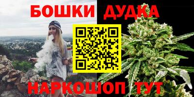 стафф Кандалакша