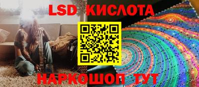 стафф Кандалакша